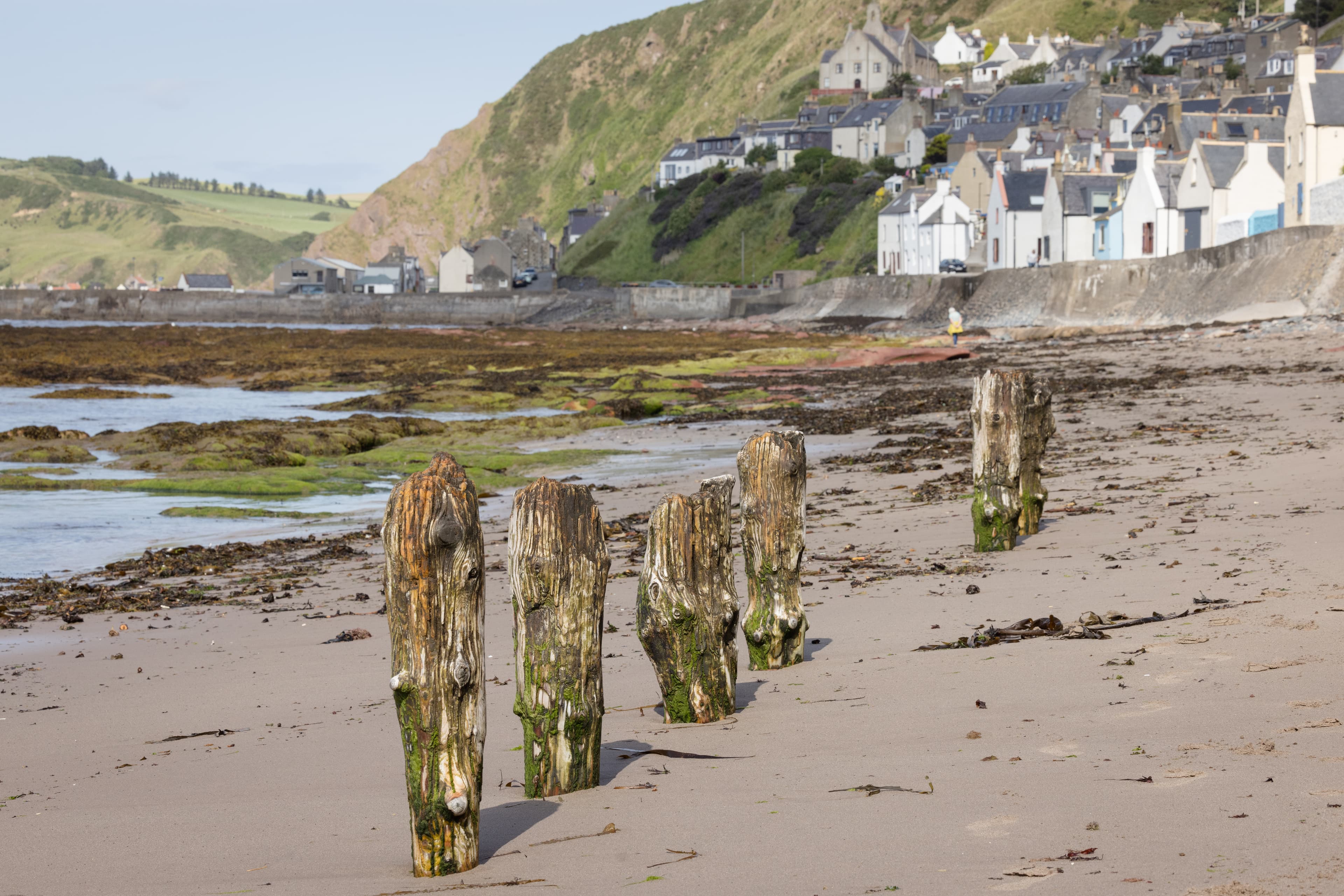 Beaches & Coastal Walks