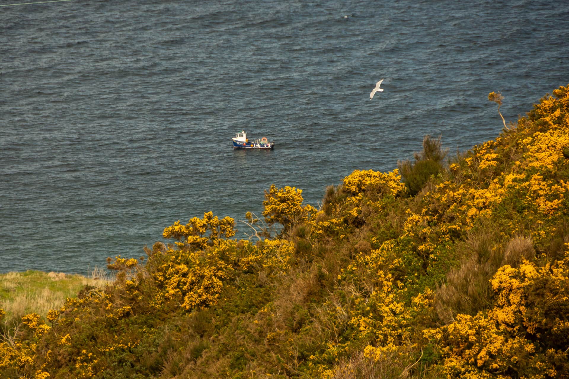 A fishing boat working the bay